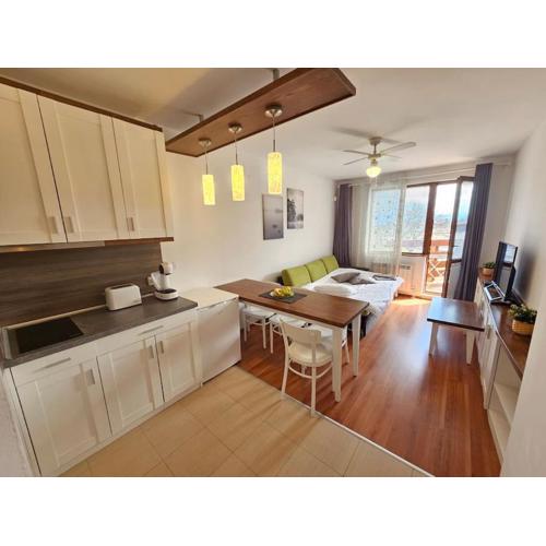 Bansko Private VIP Apartment