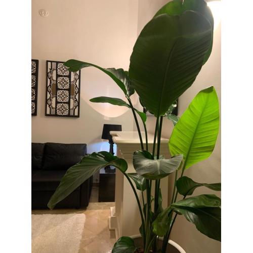Bari Downtown Luxury Apartment