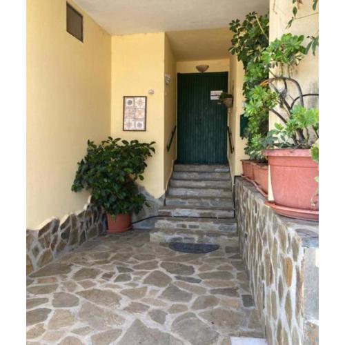 B&B Adora