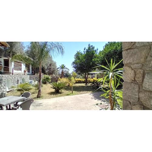 B&B Carpe Diem Domus