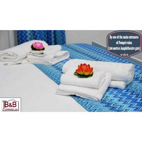 B&B Cornelia