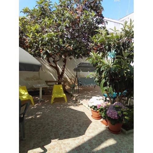 B&B Fenice Barocca
