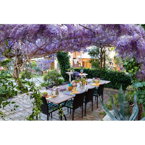 B&B Glicine