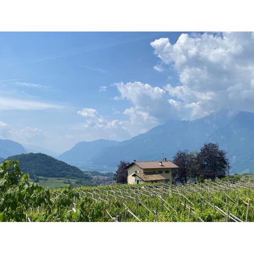 B&B La Casa in Collina