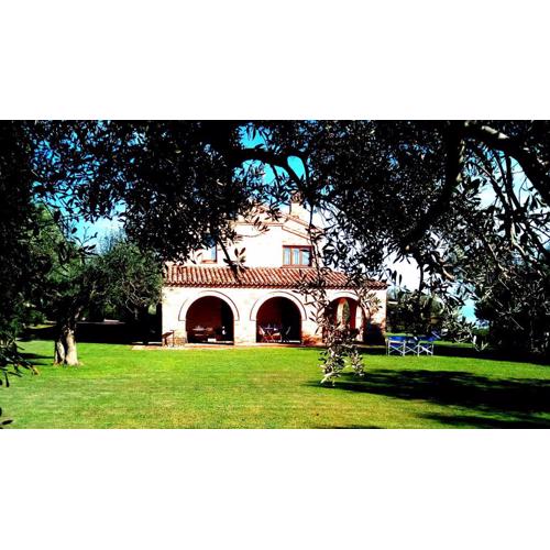 B&B La Casa tra gli Ulivi