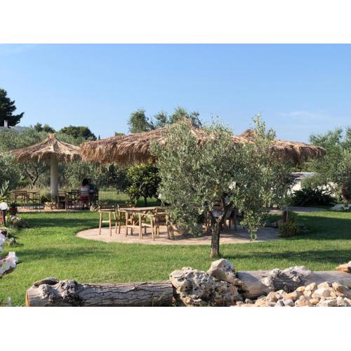 B&B Le Cicale