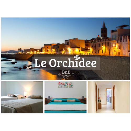 B&B Le Orchidee