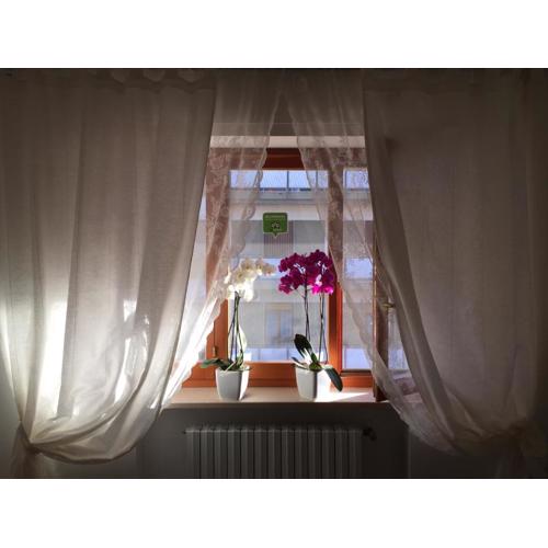 B&B Le Saline