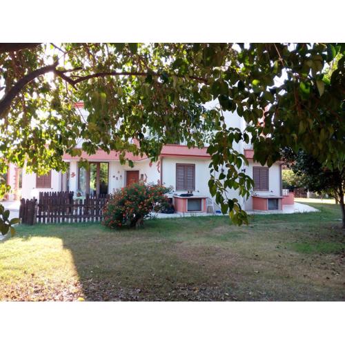 B&B Leonida