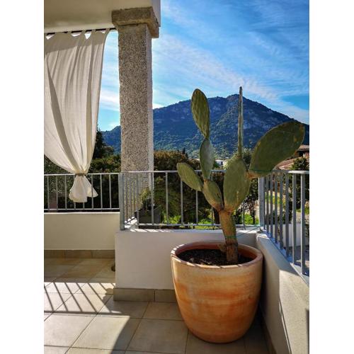 B&B Limone