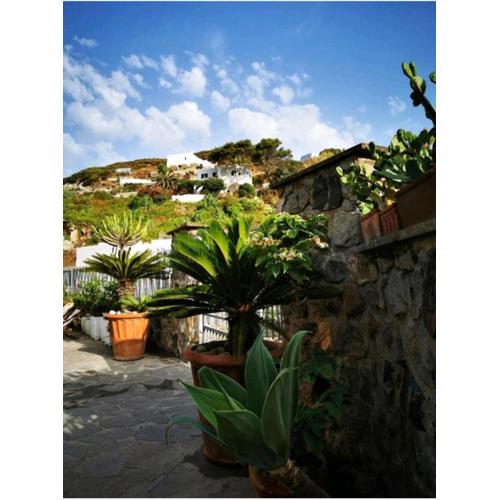 B&B Lunaponzese-Ponza centro