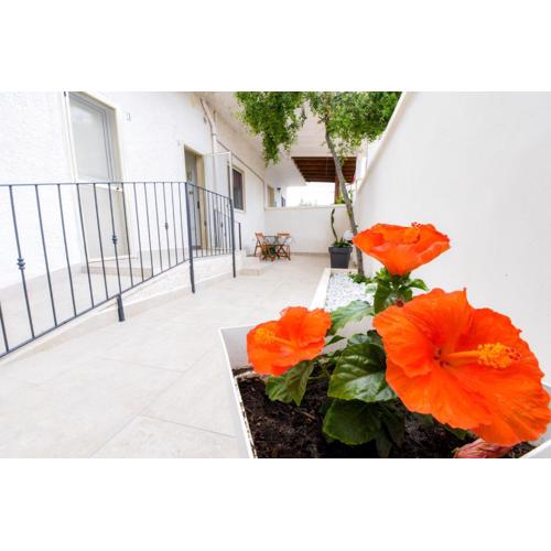 B&B Macchia Mediterranea