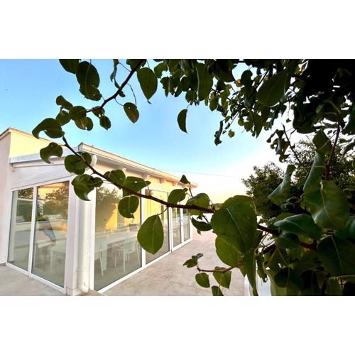 B&B Petrae House