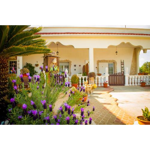 B&B Pietrafitta