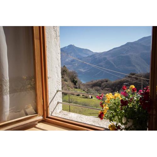 B&B Pregasina
