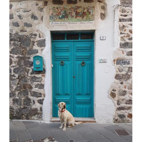 B&B Sa domo de sos Massaios