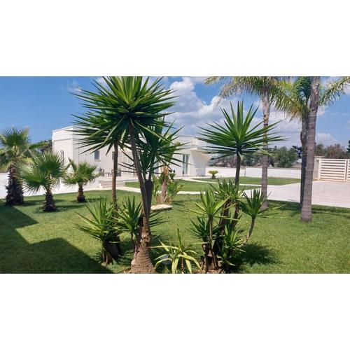 B&b Terra e Mare a Porto Cesareo