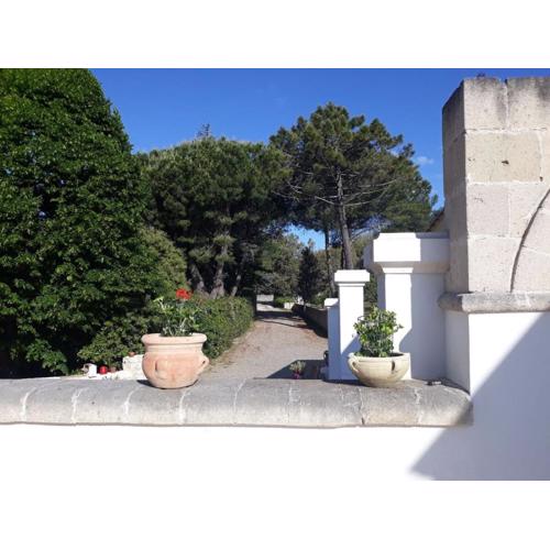 B&B Trulli e Mare