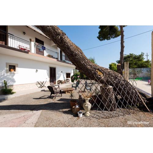 B&B Villa Pia