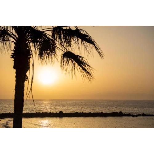 beach Apartment Los Cristianos