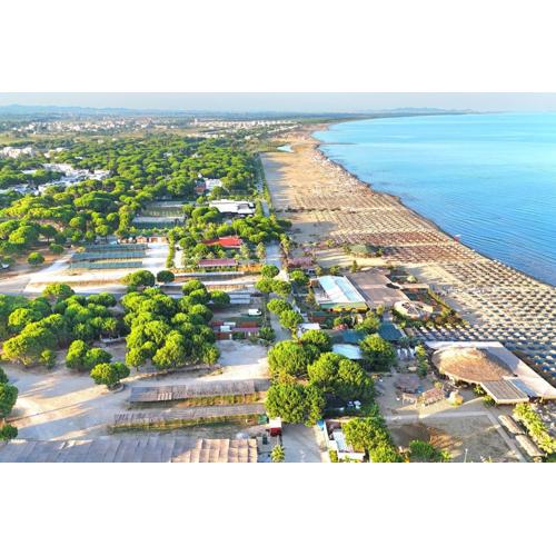Beach Haven Hideaway 291 - Happy Rentals