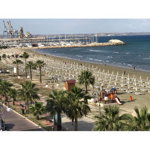 Beach Haven