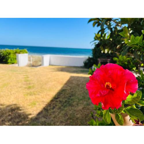 Beach Loft Poetto