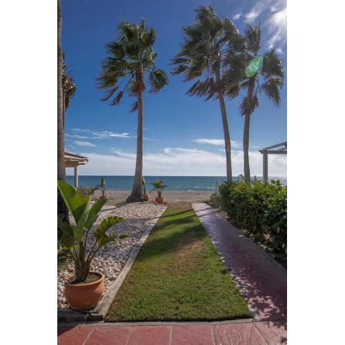 Beach Paradise, Nº5