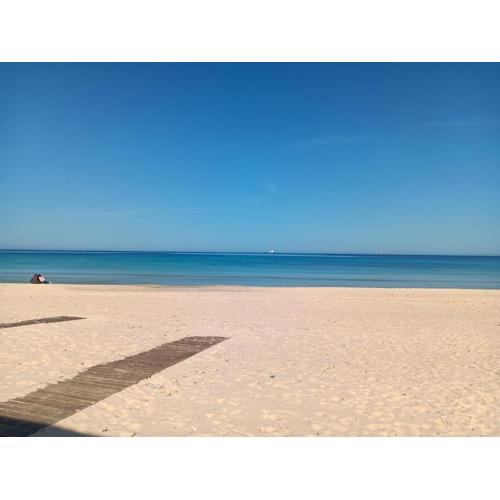 Beach Property