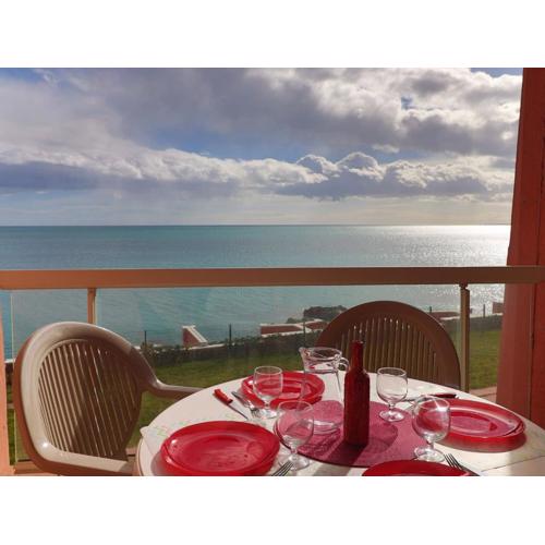 Beau T2 climatisé avec terrasse et parking privé à Sète - FR-1-472A-270