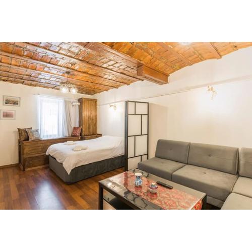 Beautiful 1 Br Apt. w/AC 400 meters Taksim Square