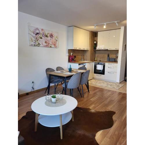 Beautiful Apartment in Bansko with SPA