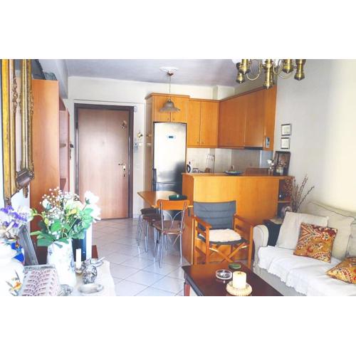Beautiful Apartment in the Centre of Athens