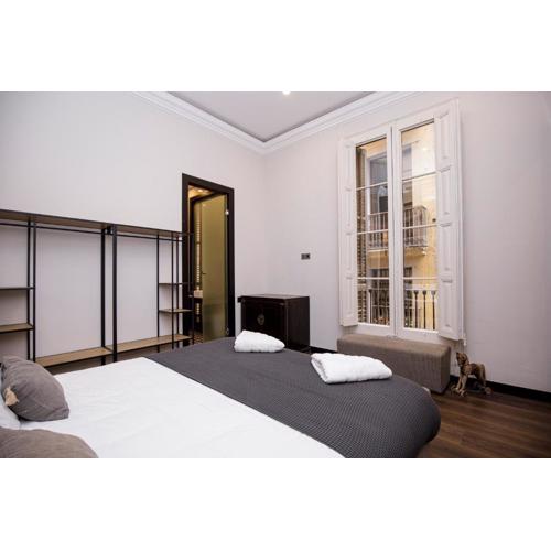beautiful cosy modern apartment ,19th century building