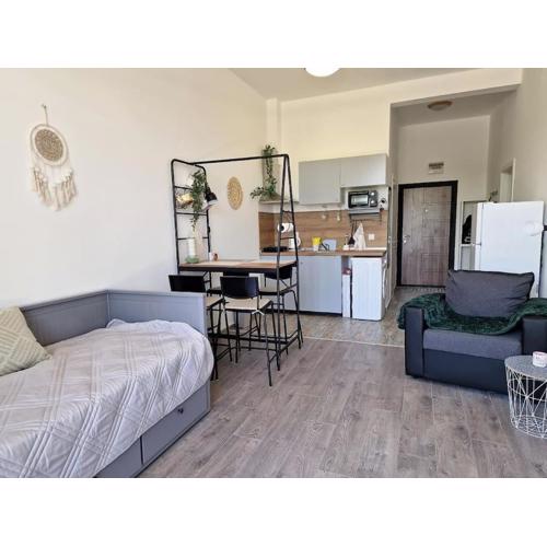 Beautiful & cosy studio in complex Shartrez