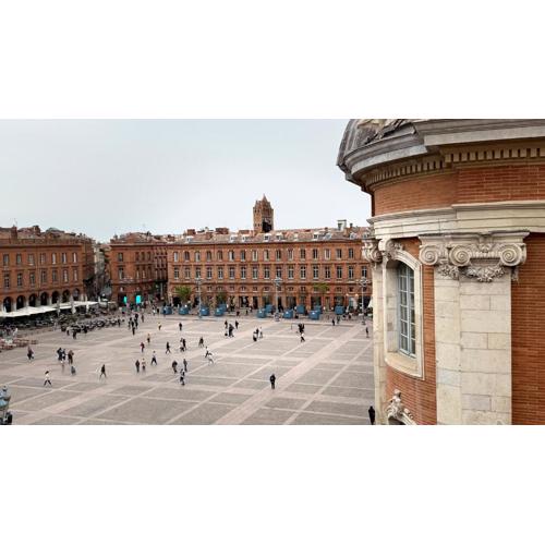 Beautiful flat on Capitole Place