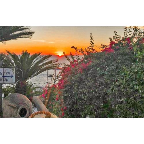 Beautiful Home In Forio Ischia