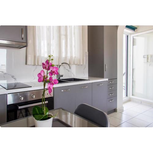 Beautiful Loft Ilion