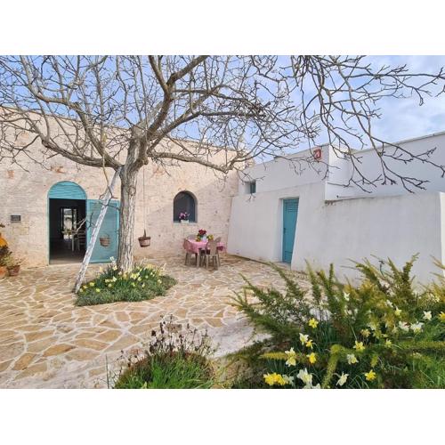 Beautiful property with annex in Locorotondo