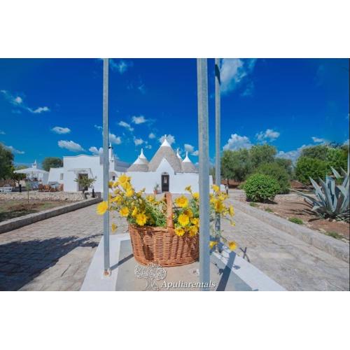 Beautiful Trullo Paleo in Ceglie Messapica