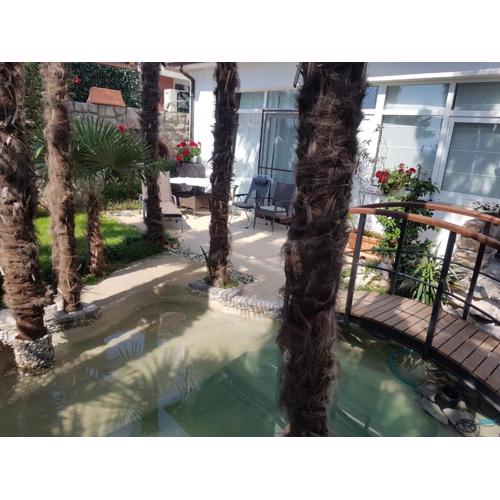 Beautiful View Apt 3