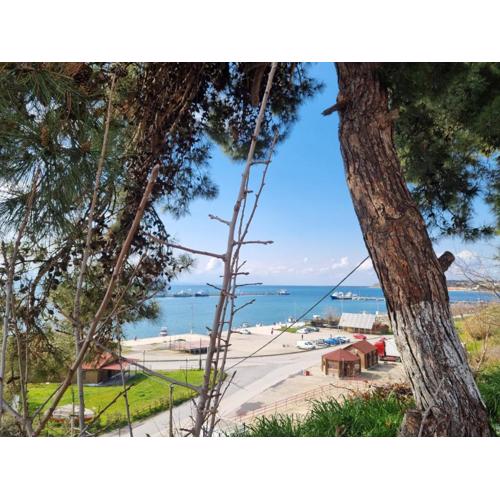 Beautiful View for your Holiday