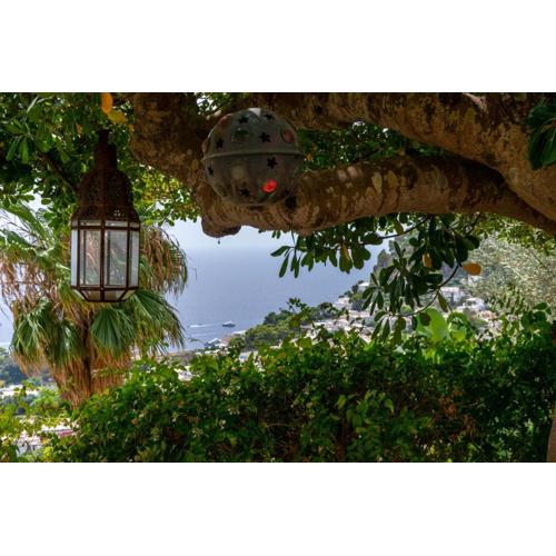 Beautiful Villa with View in the heart of Capri
