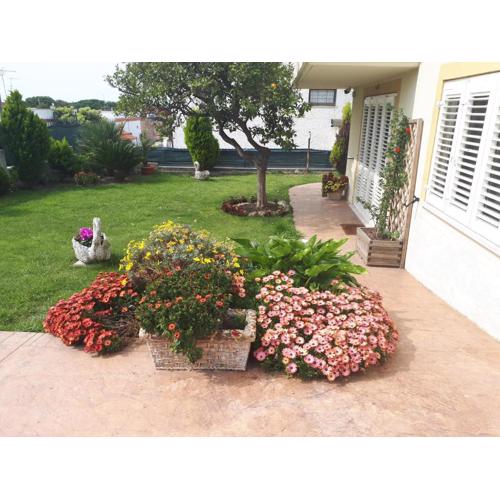 Bed and Breakfast Angolo Fiorito