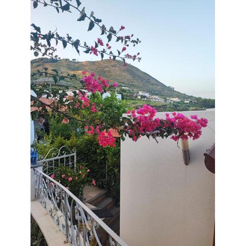 Bed and Breakfast Villa Angelina