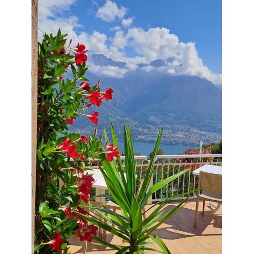 Bed & Breakfast Bellagio