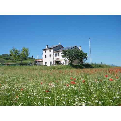 Bed & Breakfast Le Coste