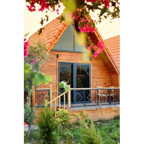 Begonvil Bungalow Apart Demre 1