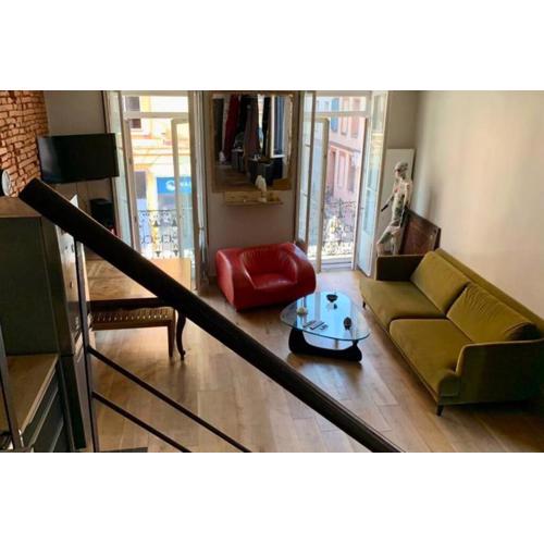 Bel appartement atypique quartier St Cyprien