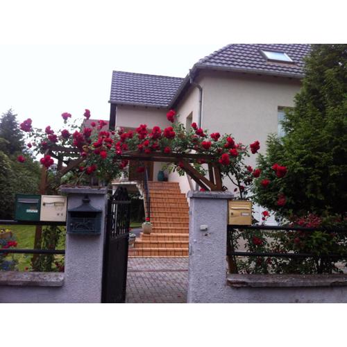 Bel Appartement en RDC proche Strasbourg Nice apartment very near Strasbourg